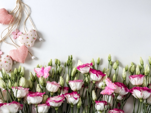 Розовые цветы эустомы с сердечками на сером фоне