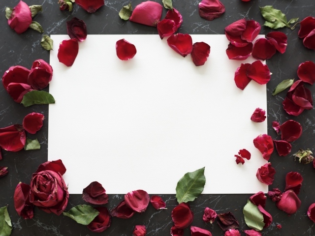 Лепестки розы с белым листом на столе