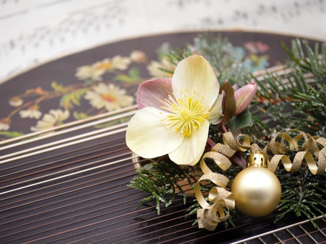 Цветок лежит на музыкальном инструменте