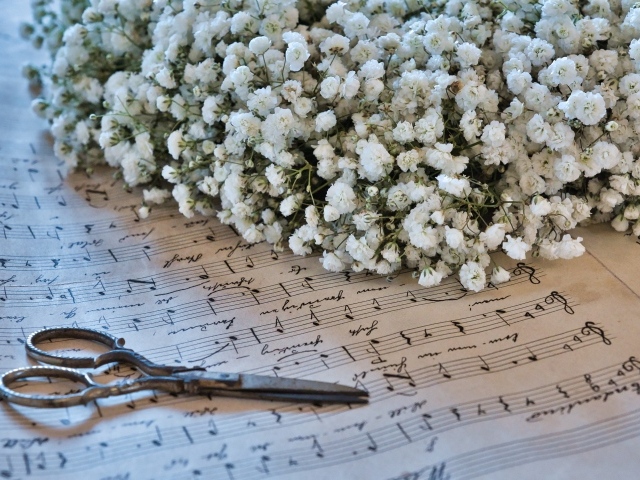 Белые цветы гипсофилы с ножницами и нотной тетрадью