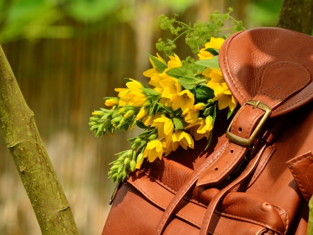 Желтые цветы лежат в кожаном рюкзаке 