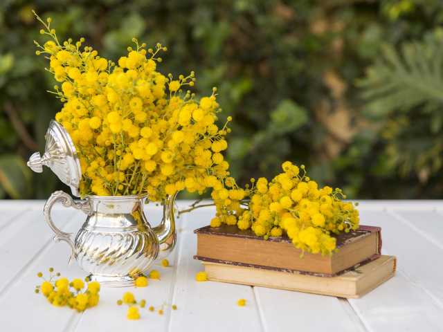 Желтые цветы мимозы на столе с книгами