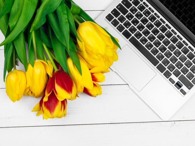 Желтые тюльпаны с ноутбуком на столе