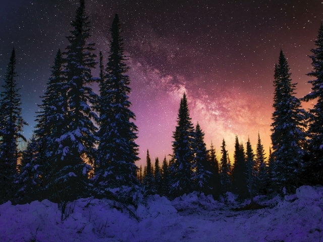 Красивое небо над хвойным лесом зимней ночью