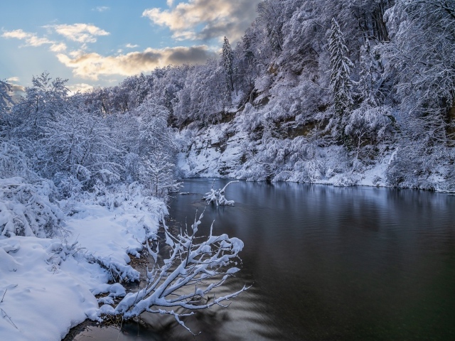 Покрытый снегом лес у холодной зимней реки