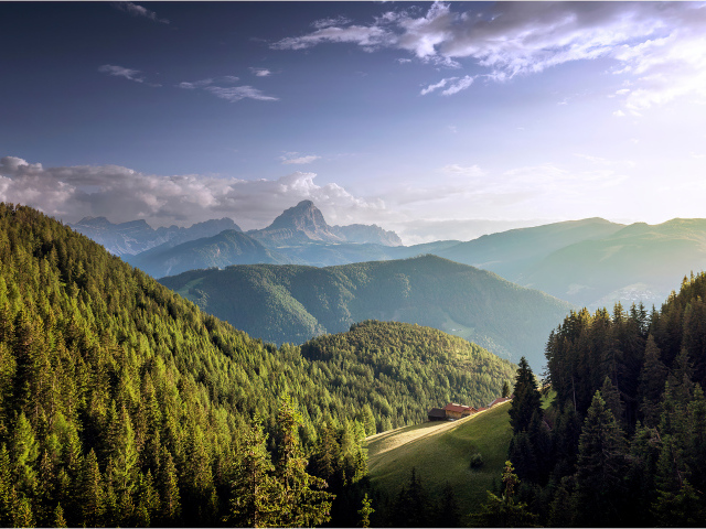 Большие покрытые густым лесом горы