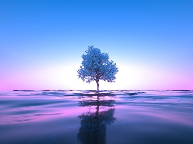 Дерево растет в воде на фоне неба