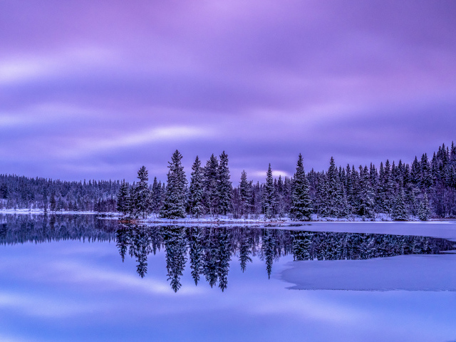 Красивое покрытое льдом озеро у заснеженного леса