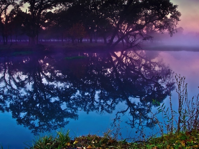 Деревья отражаются в воде озера в сумерках