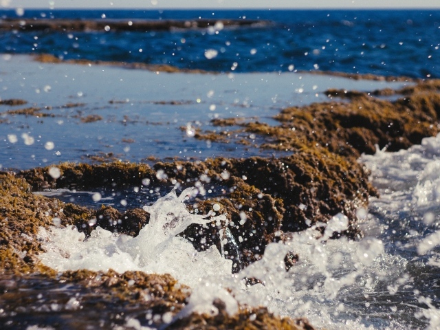 Брызги холодной морской воды на берегу