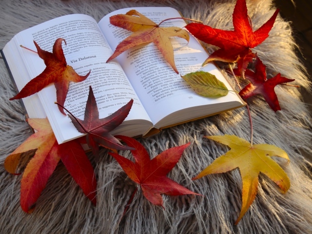 Книга с красивыми желтыми листьями