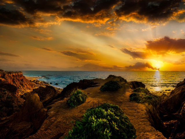 Красивый закат на морском побережье летом