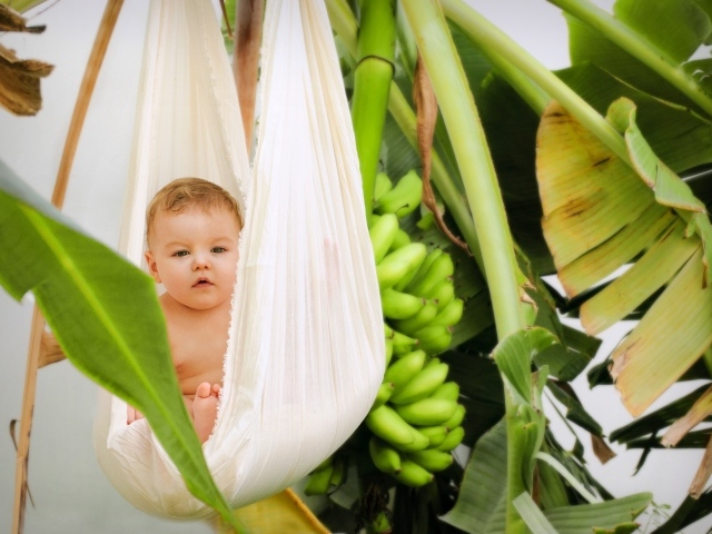 Ребенок в гамаке в тропических зарослях