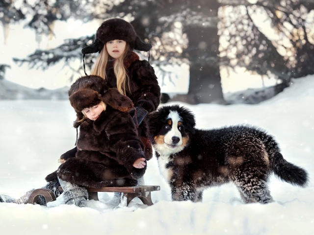 Дети на санках со щенком зимой