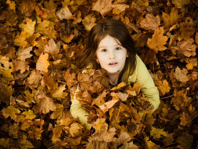Девочка сидит в опавшей листве