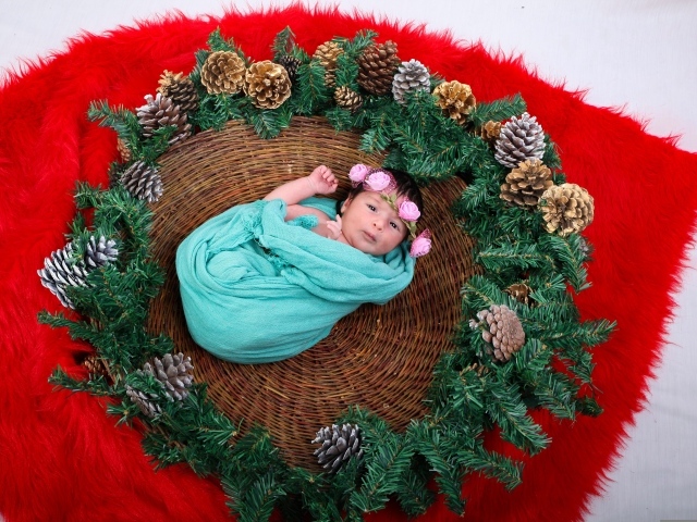 Новорожденная девочка в корзине с еловыми ветками