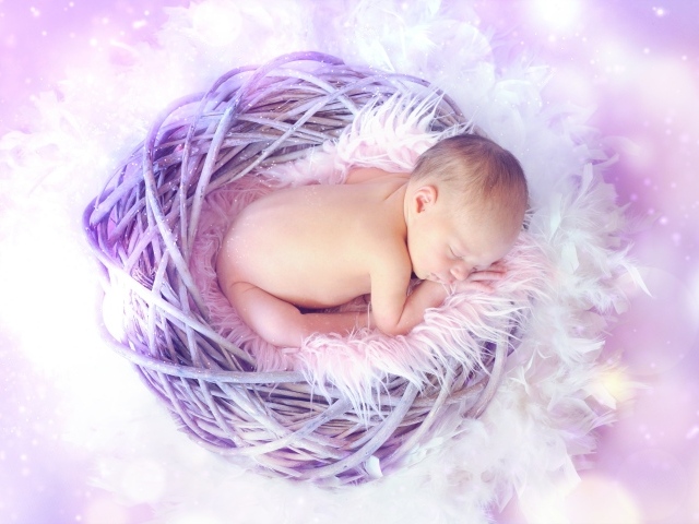 Спящий новорожденный малыш в гнезде 