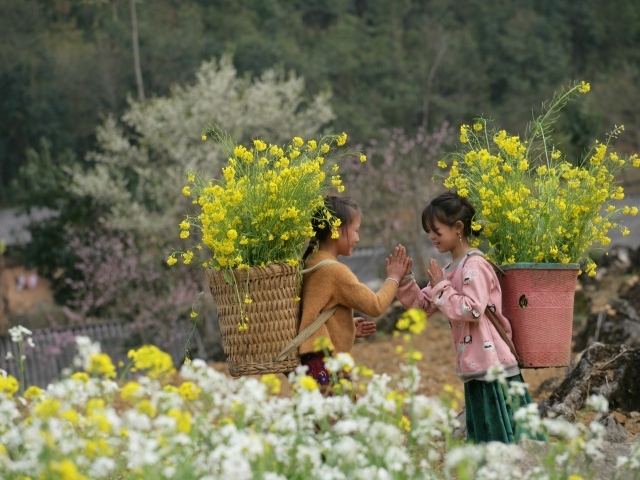 Две маленькие девочки азиатки с корзинами с желтыми цветами