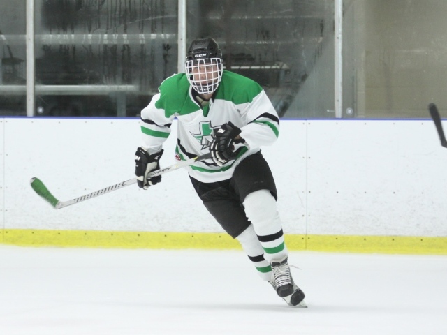 Хоккеист с клюшкой на поле