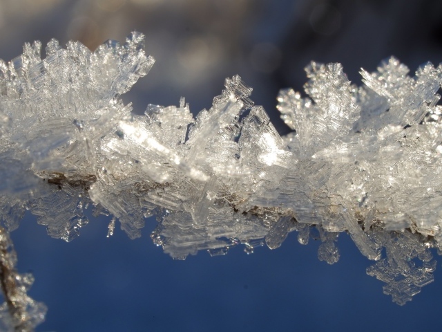 Ледяные кристаллы на проволоке зимой