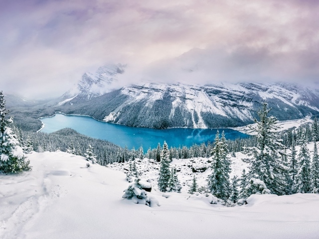 Вид на заснеженные горы, лес и реку
