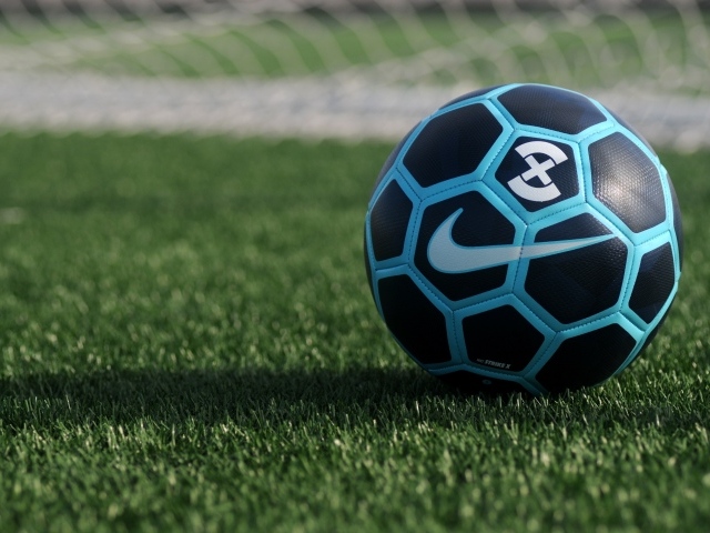 Новый кожаный футбольный мяч на поле