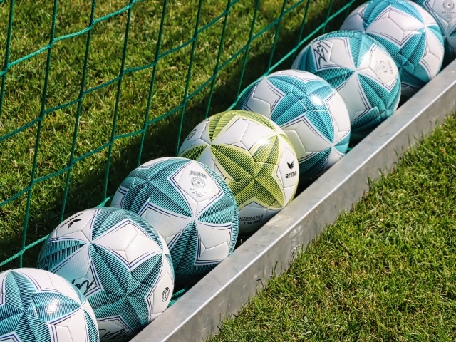 Футбольные мячи лежат у сетки на траве