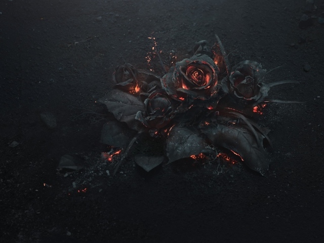 Черные сожженные 3д розы