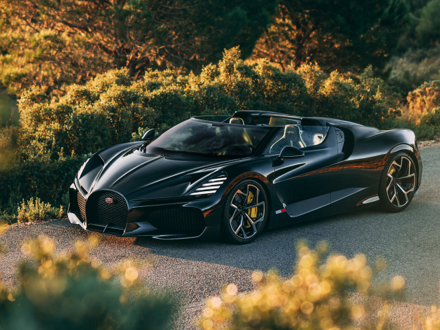 Черный быстрый автомобиль Bugatti W16 Mistral