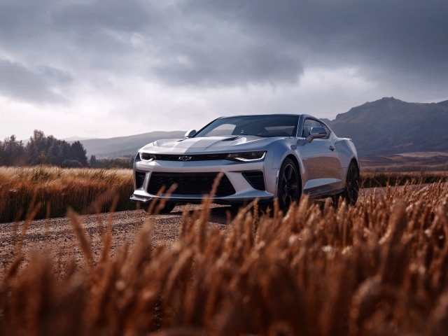 Автомобиль Chevrolet Camaro SS на дороге