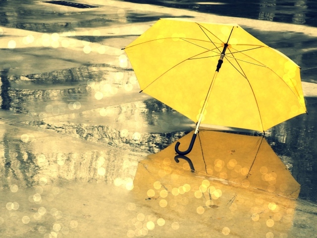 Желтый зонт лежит на мокром асфальте