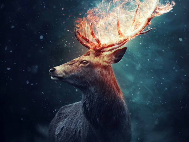 Олень с огненными рогами на черном фоне
