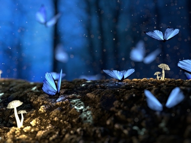 Волшебные голубые бабочки летают в лесу над грибами