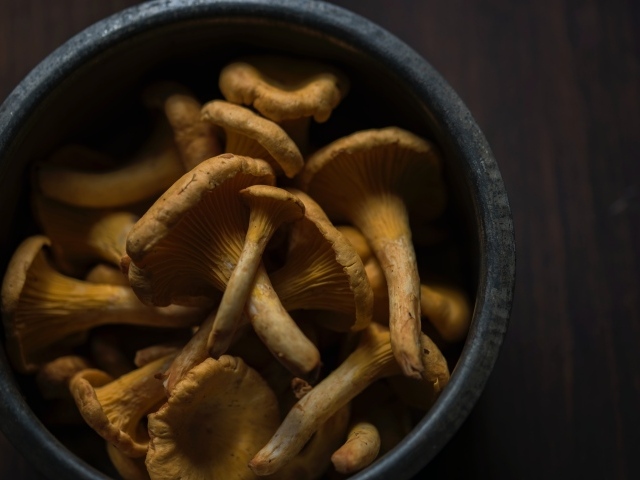 Грибы лисички в миске на столе