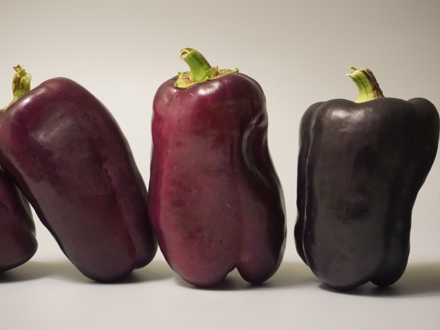 Баклажаны на сером фоне