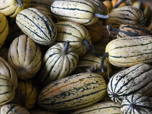 Полосатая маленькая тыква крупным планом