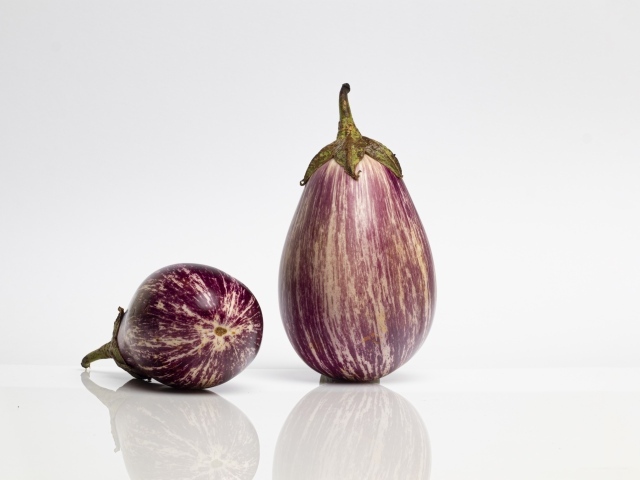 Два баклажана на сером фоне