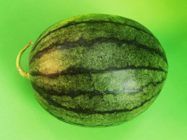 Большой полосатый арбуз на зеленом фоне