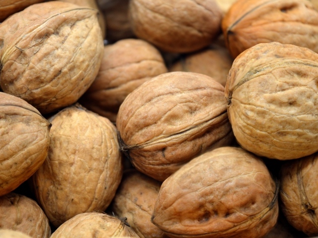 Много грецких орехов крупным планом