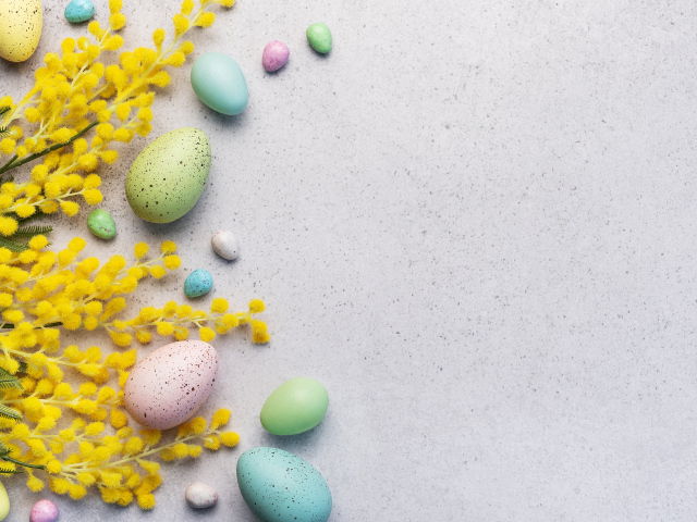 Разноцветные пасхальные яйца с веточками мимозы
