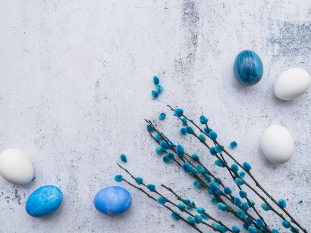 Ветка вербы с голубыми и белыми яйцами на сером фоне на праздник Пасха