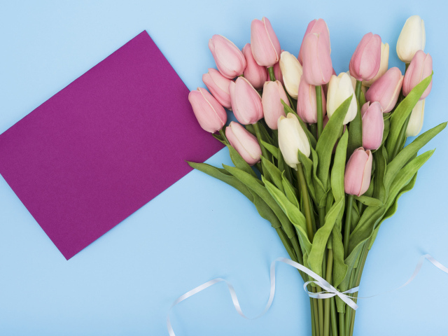 Букет тюльпанов на голубом фоне шаблон поздравительной открытки на 8 марта