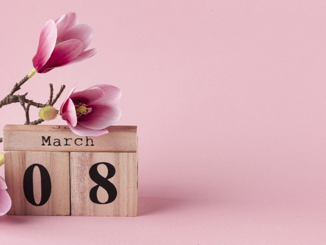 Кубики и цветы на ветке на розовом фоне на 8 марта