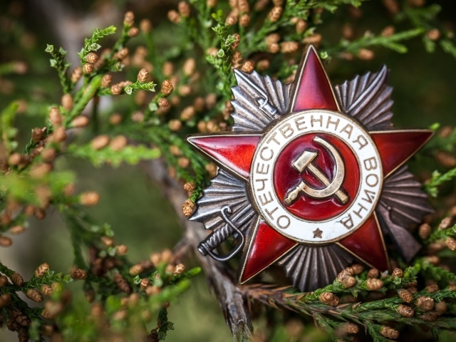 Орден с ветками на день Победы 9 мая