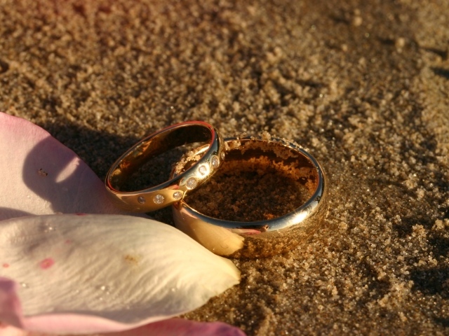 Два обручальных кольца с лепестками на мокром песке