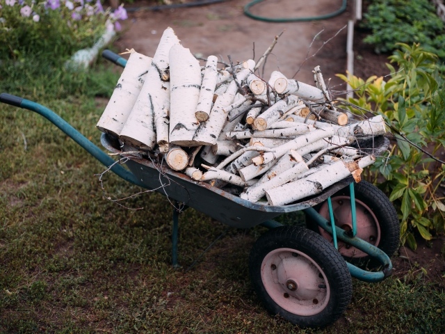 Железная тачка с дровами с березы