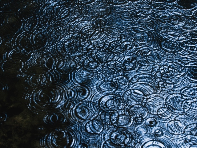 Круги от дождя на воде