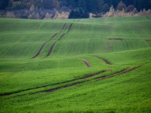 Красивый вид за зеленые поля весной