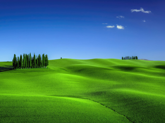 Зеленое волнистое поле под голубым небом