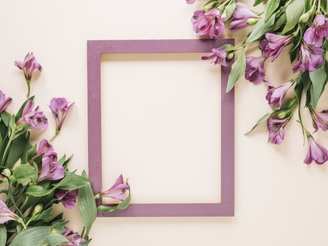 Цветы альстромерии на белом фоне с рамкой